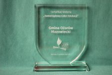 statuetka_certyfikat srebrny SLE