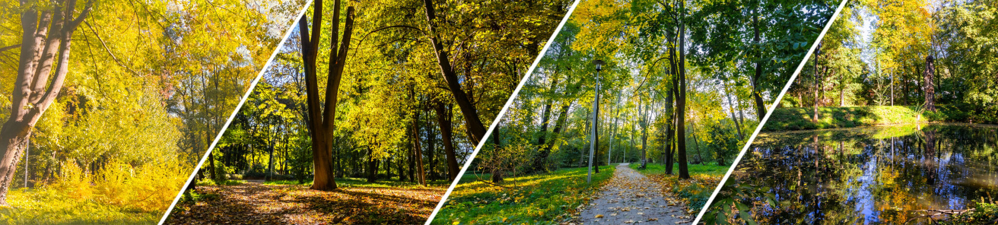 Ożarów Mazowiecki Ożarów Mazowiecki