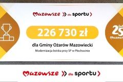 czek