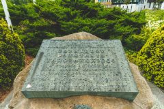 DP4A5394