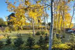 Zdjecie-WhatsApp-2025-10-26-o-18.40.23_4fd56d35 Zdjecie-WhatsApp-2025-10-26-o-18.40.23_4fd56d35