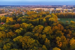 DJI_0626