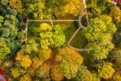 DJI_0819
