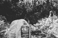 CIMG1144