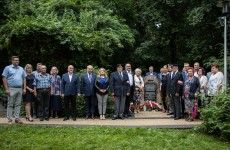 IMG_9981