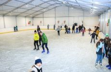 IMG_8659