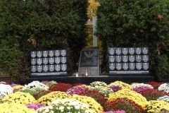 DSCN3067